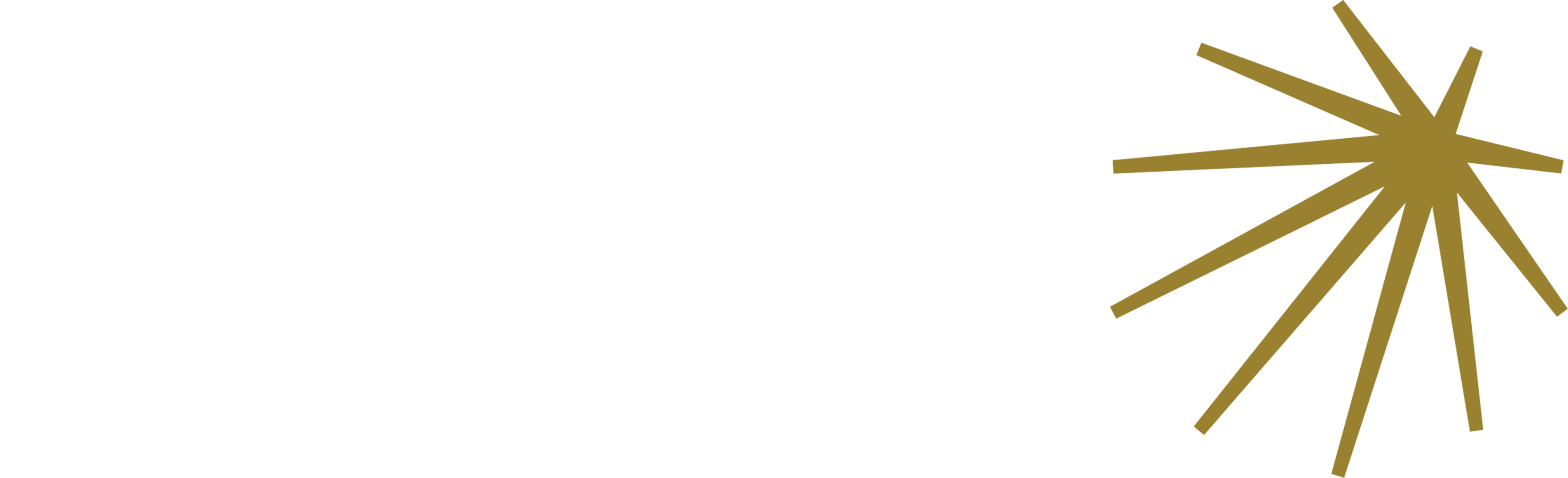 ركين